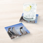 Pinguine in der Antarktis Glasuntersetzer (Schrägansicht)