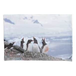 Pinguine in der Antarktis Kissenbezug