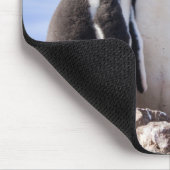 Pinguine in der Antarktis Mousepad (Ecke)
