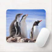 Pinguine in der Antarktis Mousepad (Mit Mouse)