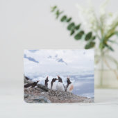 Pinguine in der Antarktis Postkarte (Stehend Vorderseite)
