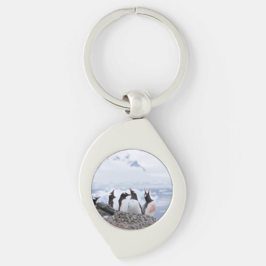 Pinguine in der Antarktis Schlüsselanhänger (Vorderseite)