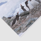Pinguine in der Antarktis Seidenpapier (Ausschnitt)