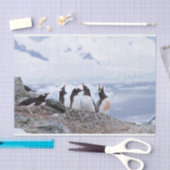 Pinguine in der Antarktis Seidenpapier (Handwerk)