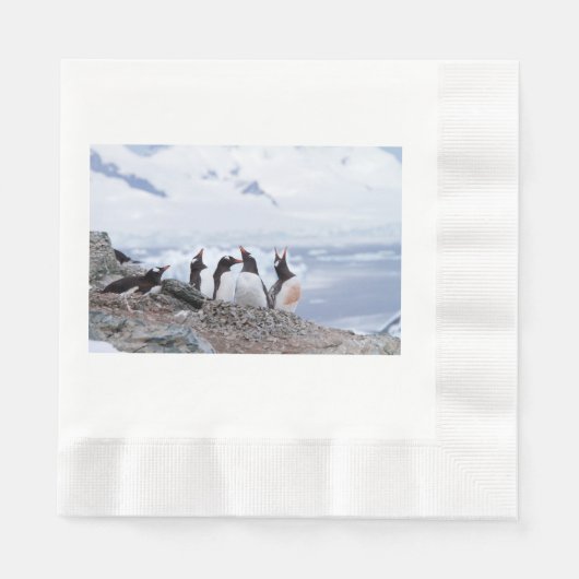 Pinguine in der Antarktis Serviette (Vorderseite)