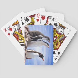 Pinguine in der Antarktis Spielkarten
