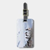 Pinguine in der Landschaft der Antarktis Gepäckanhänger (Vorderseite vertikal)