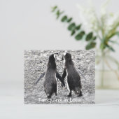 Pinguine in der Liebe Postkarte (Stehend Vorderseite)