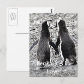 Pinguine in der Liebe Postkarte (Vorne/Hinten)