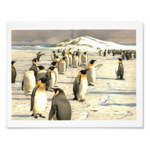 Pinguine in die Antarktis-Illustration Fotodruck