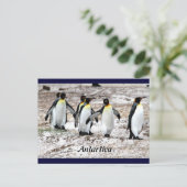 Pinguine in frigider Antarktis Postkarte (Stehend Vorderseite)