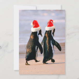 Pinguine in Weihnachtsmannmützen am Strand Feiertagskarte