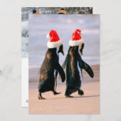 Pinguine in Weihnachtsmannmützen am Strand Feiertagskarte (Vorne/Hinten)