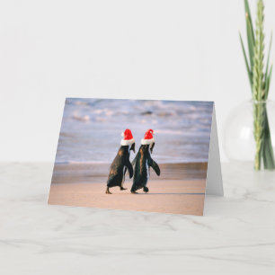 Pinguine in Weihnachtsmannmützen am Strand Feiertagskarte