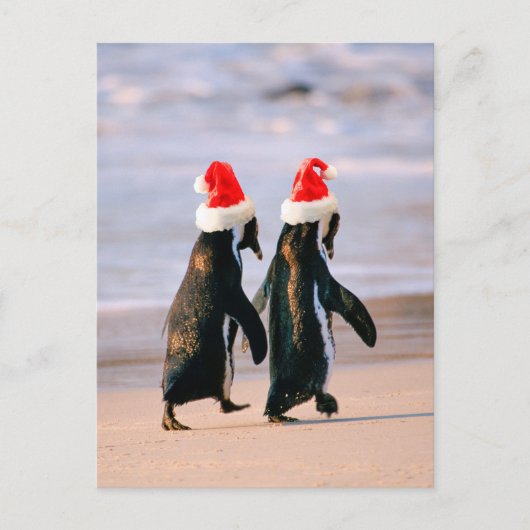 Pinguine in Weihnachtsmannmützen am Strand Feiertagspostkarte (Vorderseite)