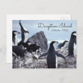 Pinguine Insel der Antarktis-Täuschung Postkarte (Vorne/Hinten)