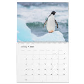 Pinguine Kalender (Jan 2027)