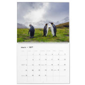 Pinguine Kalender (Mär 2027)