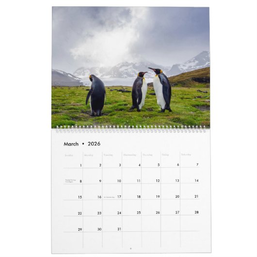 Pinguine Kalender (Mär 2026)