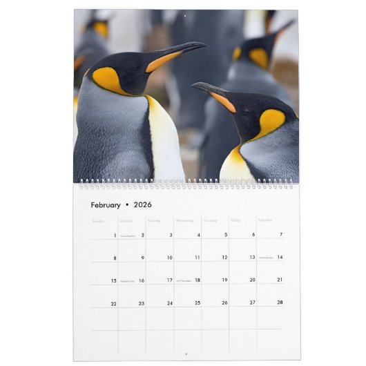 Pinguine Kalender (Feb 2026)