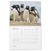 Pinguine Kalender (Feb 2027)