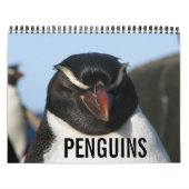 Pinguine Kalender (Titelbild)