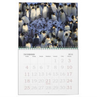 Pinguine
