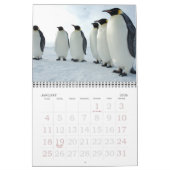 Pinguine Kalender (Jan 2026)