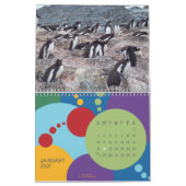 Pinguine - Kalender 2020 (Jan 2027)