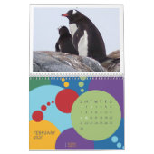 Pinguine - Kalender 2020 (Feb 2027)