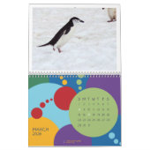 Pinguine - Kalender 2020 (Mär 2026)