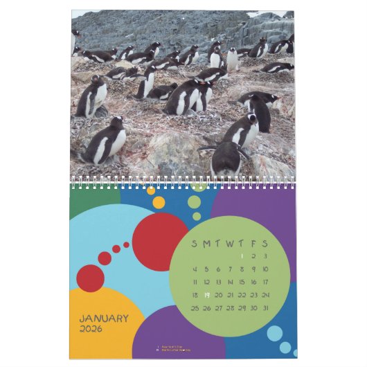 Pinguine - Kalender 2020 (Jan 2026)
