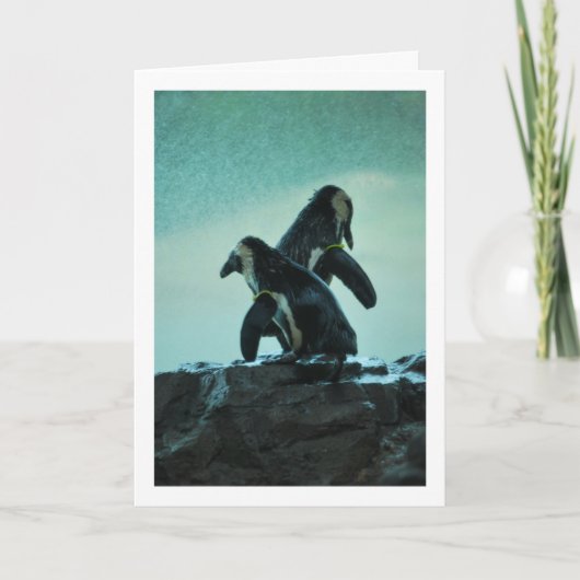 Pinguine Karte (Vorderseite)