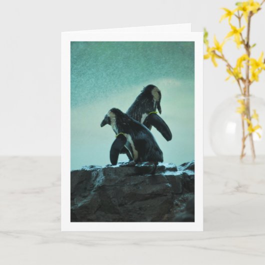 Pinguine Karte (Gelbe Blume)