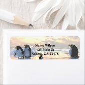 Pinguine kühlen sich auf einer Eisscholle ab (Insitu)