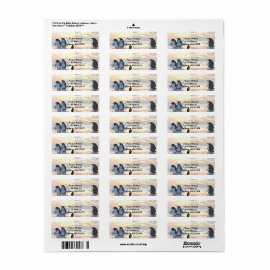 Pinguine kühlen sich auf einer Eisscholle ab (Vorne)