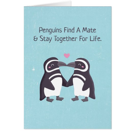 Pinguine küssen, lustig, du bist mein Pinguin-Mann (Vorne)