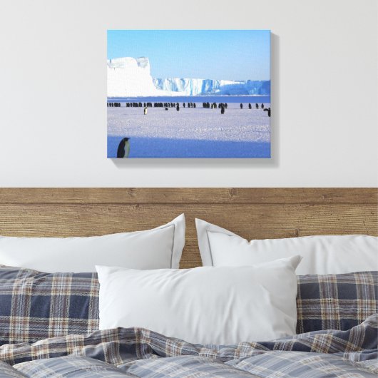 Pinguine Leinwanddruck (Insitu (Schlafzimmer))