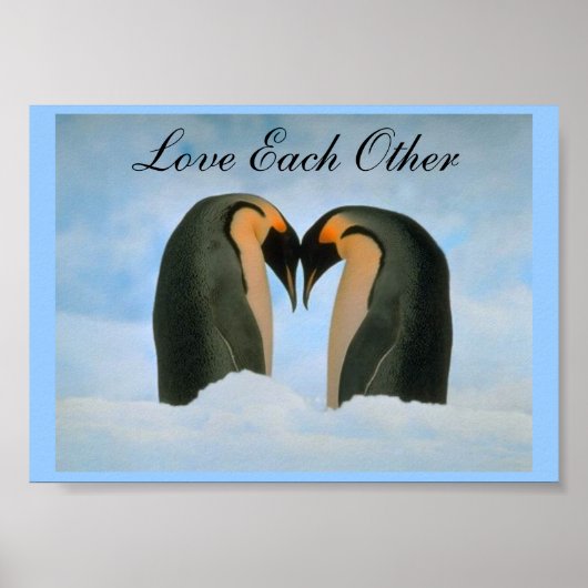 Pinguine - Liebe Poster (Vorne)