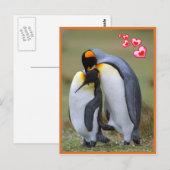 Pinguine Liebe Postkarte (Vorne/Hinten)
