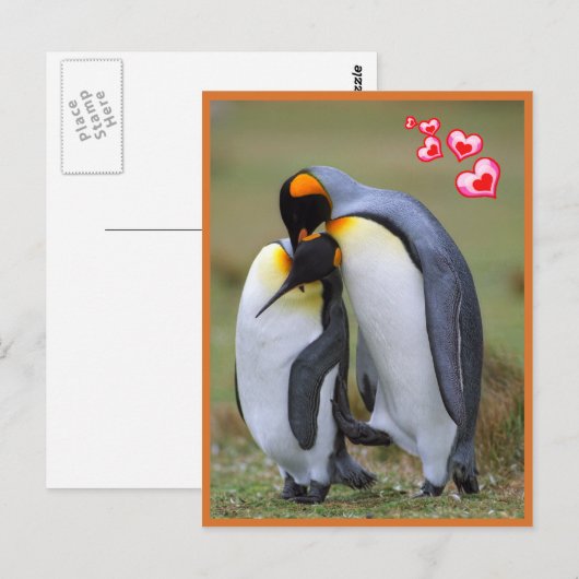Pinguine Liebe Postkarte (Vorne/Hinten)