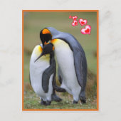 Pinguine Liebe Postkarte (Vorderseite)