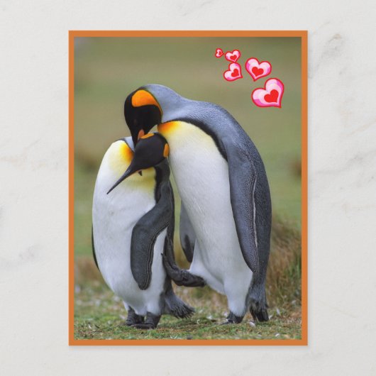 Pinguine Liebe Postkarte (Vorderseite)