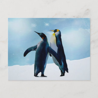 Pinguine Live und lass live Postkarte