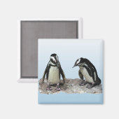 Pinguine Magnet (Vorderseite/Rückseite)