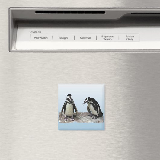 Pinguine Magnet (In Situ (Geschirrspüler))