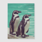 Pinguine Magnetkarte (Vorderseite)