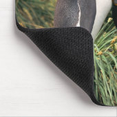 Pinguine Mousepad (Ecke)