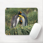 Pinguine Mousepad (Mit Mouse)