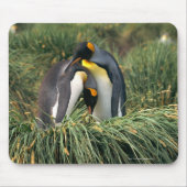Pinguine Mousepad (Vorne)